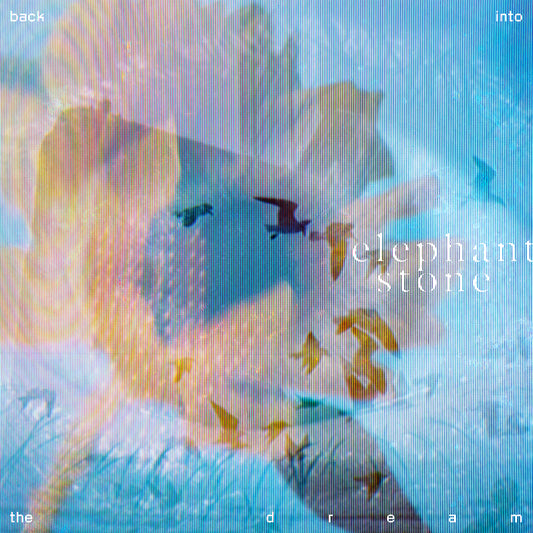 Back Into The Dream – Elephant Stone